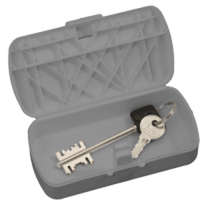 Запасной ключ зала ваншень геншин. Шкаф (пенальница) для ключей кл-50п. Пенал для ключей для хранения и опечатывания ключей Силтек серый. Пенал для ключей 7306356 опломбированный. Пенал для ключей силкипер.